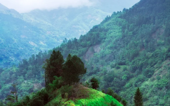 Jamaica – Caribbean’s Treasure Chest