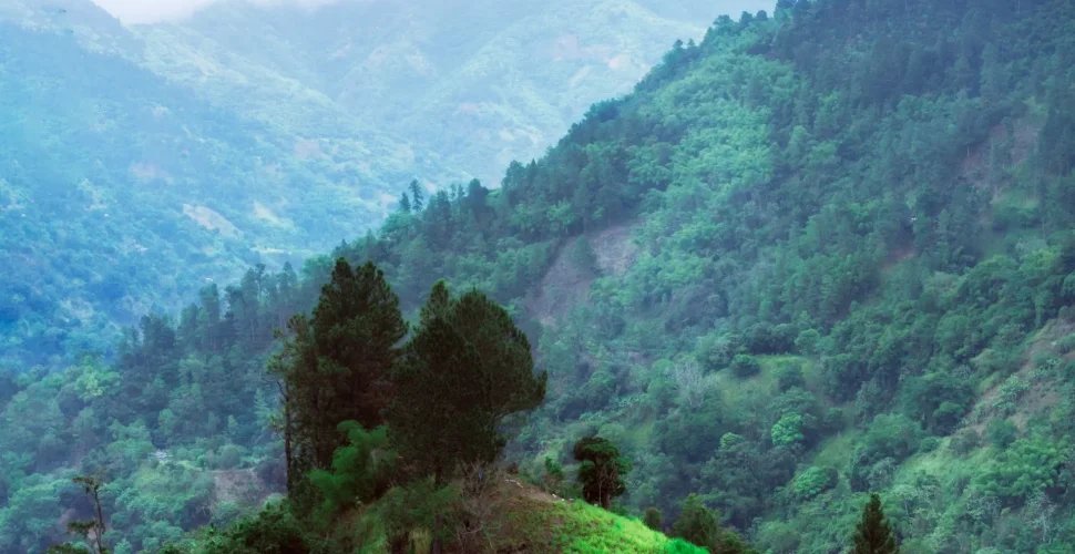 Jamaica – Caribbean’s Treasure Chest