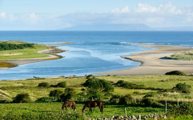 Wild ocean, medieval castles and green meadows – The Wild Atlantic Way in Ireland